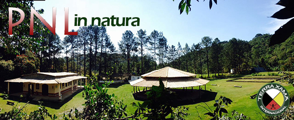 Terra Xamã - Escola Natural de Coaching
